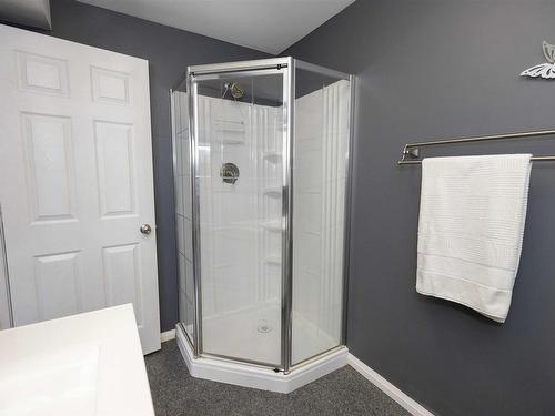 239 Dublin Avenue, Thunder Bay, ON - Indoor Photo Showing Bathroom