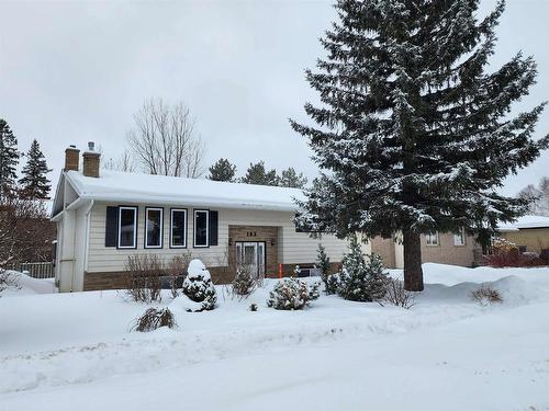 163 Fassina Street, Thunder Bay, ON - Outdoor