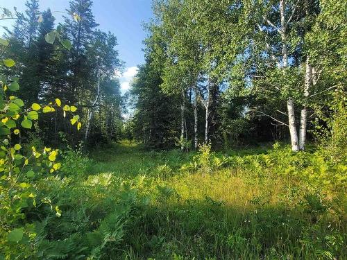 0 Ascough Road, Kenora, ON 