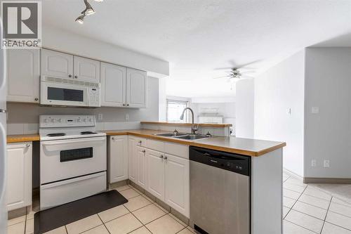 314, 23 Chilcotin Lane W, Lethbridge, AB - Indoor Photo Showing Kitchen With Double Sink
