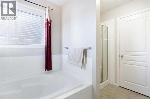 138 Saddlecrest Way Ne, Calgary, AB - Indoor Photo Showing Bathroom
