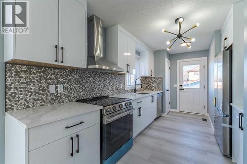 134 Erin Meadow Crescent Se, Calgary, AB - Indoor Photo Showing Kitchen With Upgraded Kitchen