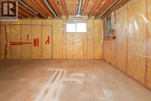33 Duckering Close, Red Deer, AB - Indoor Photo Showing Basement