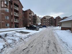 3160 Wildwood Unit# 101  Windsor, ON N8R 2K8