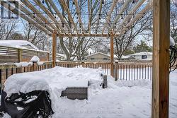 Newer Back Deck - 