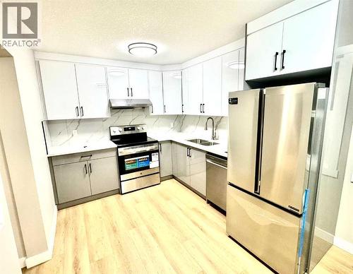 7616 27 Street Se, Calgary, AB - Indoor Photo Showing Kitchen With Stainless Steel Kitchen With Double Sink