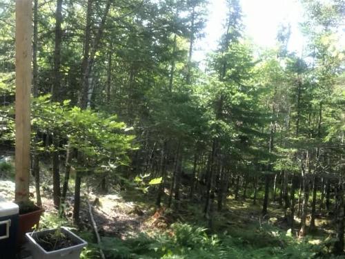 143 Cedar Drive, Cape George Estates, NS 