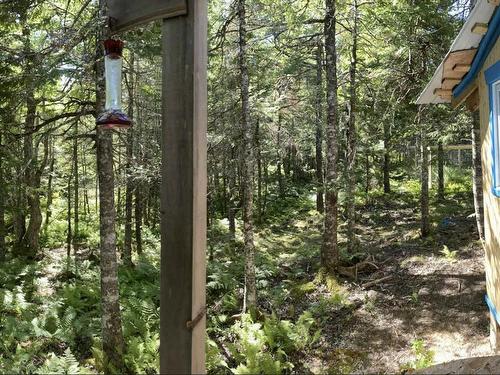 143 Cedar Drive, Cape George Estates, NS 