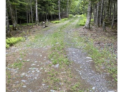 143 Cedar Drive, Cape George Estates, NS 