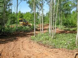 Bruce Point Road Launching, PE C0A 1G0