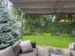 Summer Backyard photos - 