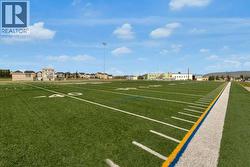 School Field - 