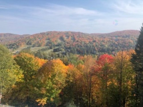 Vue - 301-22 Ch. Des Terrasses, Saint-Sauveur, QC - Outdoor With View