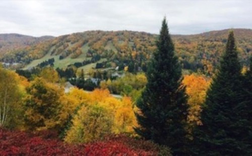 View - 301-22 Ch. Des Terrasses, Saint-Sauveur, QC - Outdoor With View