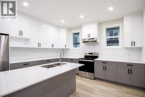 113 Corner Meadows Square Ne, Calgary, AB - Indoor Photo Showing Kitchen With Double Sink With Upgraded Kitchen
