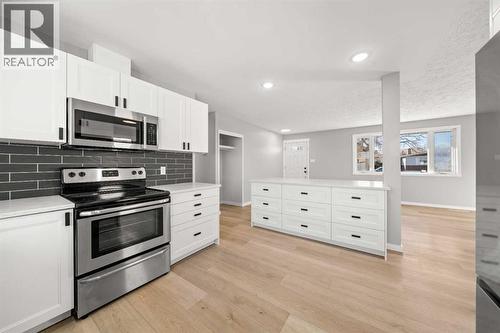 4520 Greenview Drive Ne, Calgary, AB - Indoor Photo Showing Kitchen With Stainless Steel Kitchen