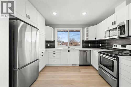 4520 Greenview Drive Ne, Calgary, AB - Indoor Photo Showing Kitchen With Stainless Steel Kitchen With Upgraded Kitchen