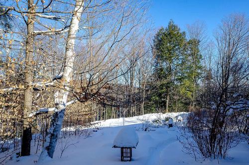 Terre/Terrain - 17 Ch. Mcfarland, Hatley - Canton, QC - Outdoor With View