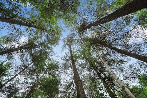 Terre/Terrain - 2 Rue Royalview, Hudson, QC 