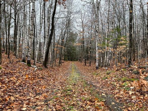 Land/Lot - Ch. Pierre-Péladeau, Sainte-Adèle, QC 
