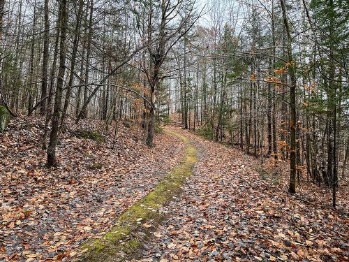 Land/Lot - Ch. Pierre-Péladeau, Sainte-Adèle, QC 