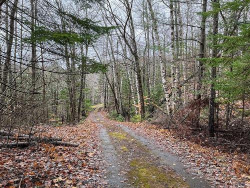 Land/Lot - Ch. Pierre-Péladeau, Sainte-Adèle, QC 