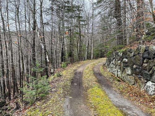 Land/Lot - Ch. Pierre-Péladeau, Sainte-Adèle, QC 