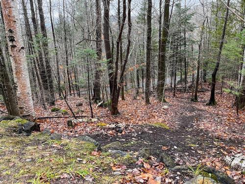 Land/Lot - Ch. Pierre-Péladeau, Sainte-Adèle, QC 