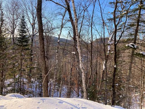 View - Ch. Pierre-Péladeau, Sainte-Adèle, QC 