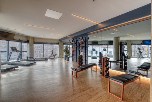 Salle d'exercice - 513-4599 Av. Clanranald, Montréal (Côte-Des-Neiges/Notre-Dame-De-Grâce), QC - Indoor Photo Showing Gym Room