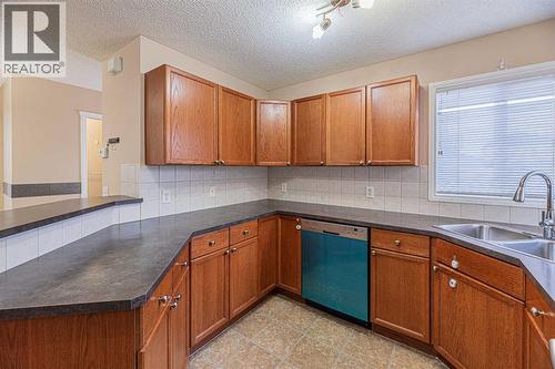 427 Saddlebrook Way Ne, Calgary, AB - Indoor Photo Showing Kitchen With Double Sink