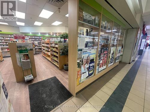 93 - 499 Main Street, Brampton, ON 