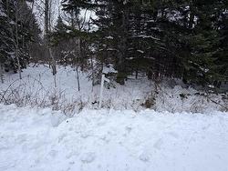 Spanish River Court  Sydney Forks, NS B1L 1C1