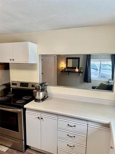 484 Thomas Drive S, Virden, MB - Indoor Photo Showing Kitchen