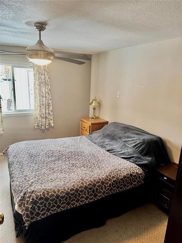 484 Thomas Drive S, Virden, MB - Indoor Photo Showing Bedroom