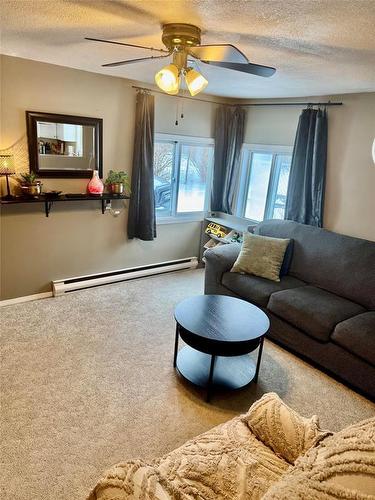 484 Thomas Drive S, Virden, MB - Indoor Photo Showing Living Room