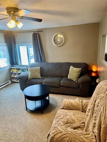 484 Thomas Drive S, Virden, MB - Indoor Photo Showing Living Room