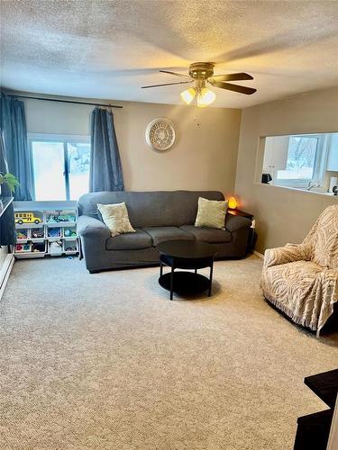 484 Thomas Drive S, Virden, MB - Indoor Photo Showing Living Room