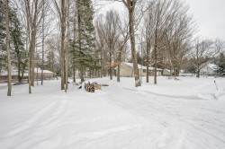 Lot - 
