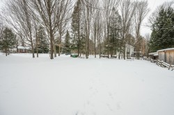 Lot - 