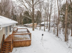 Lot - 