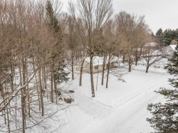 Lot - 