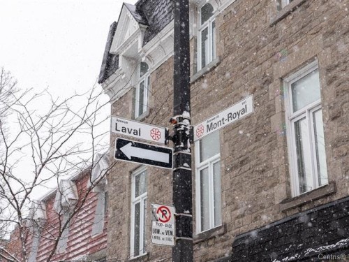 Extérieur - 250 Av. Du Mont-Royal E., Montréal (Le Plateau-Mont-Royal), QC 
