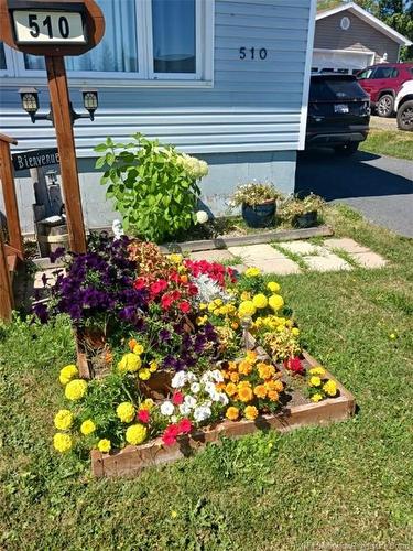 510 Fleet, Bathurst, NB 