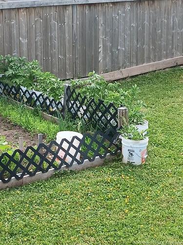 510 Fleet, Bathurst, NB 