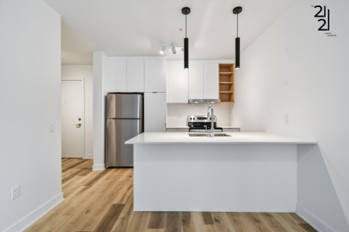 Cuisine - 303-2121 Av. Papineau, Montréal (Ville-Marie), QC - Indoor Photo Showing Kitchen With Stainless Steel Kitchen With Upgraded Kitchen