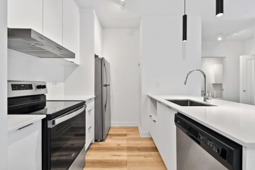 Cuisine - 306-2121 Av. Papineau, Montréal (Ville-Marie), QC - Indoor Photo Showing Kitchen With Stainless Steel Kitchen With Upgraded Kitchen