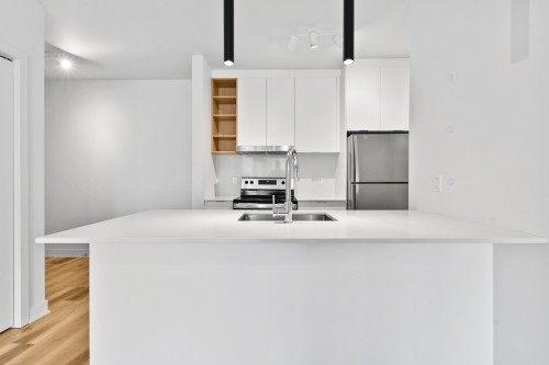 Cuisine - 306-2121 Av. Papineau, Montréal (Ville-Marie), QC - Indoor Photo Showing Kitchen With Double Sink With Upgraded Kitchen