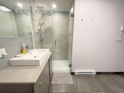 Salle de bains - 102-1330 Rue Olier, Montréal (Le Sud-Ouest), QC - Indoor Photo Showing Bathroom