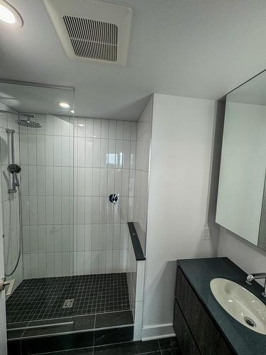 Salle de bains - 1102-100 Rue Murray, Montréal (Le Sud-Ouest), QC - Indoor Photo Showing Bathroom